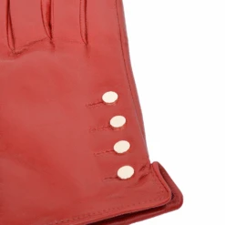 Button Detail Leather Gloves Red : 109 -Luxe Style Central ashwood button detail leather gloves red 109 p1633 7428 image
