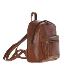 Small Leather Backpack Chestnut: T-87 -Luxe Style Central ashwood small leather backpack chestnut t 87 p7523 27270 image